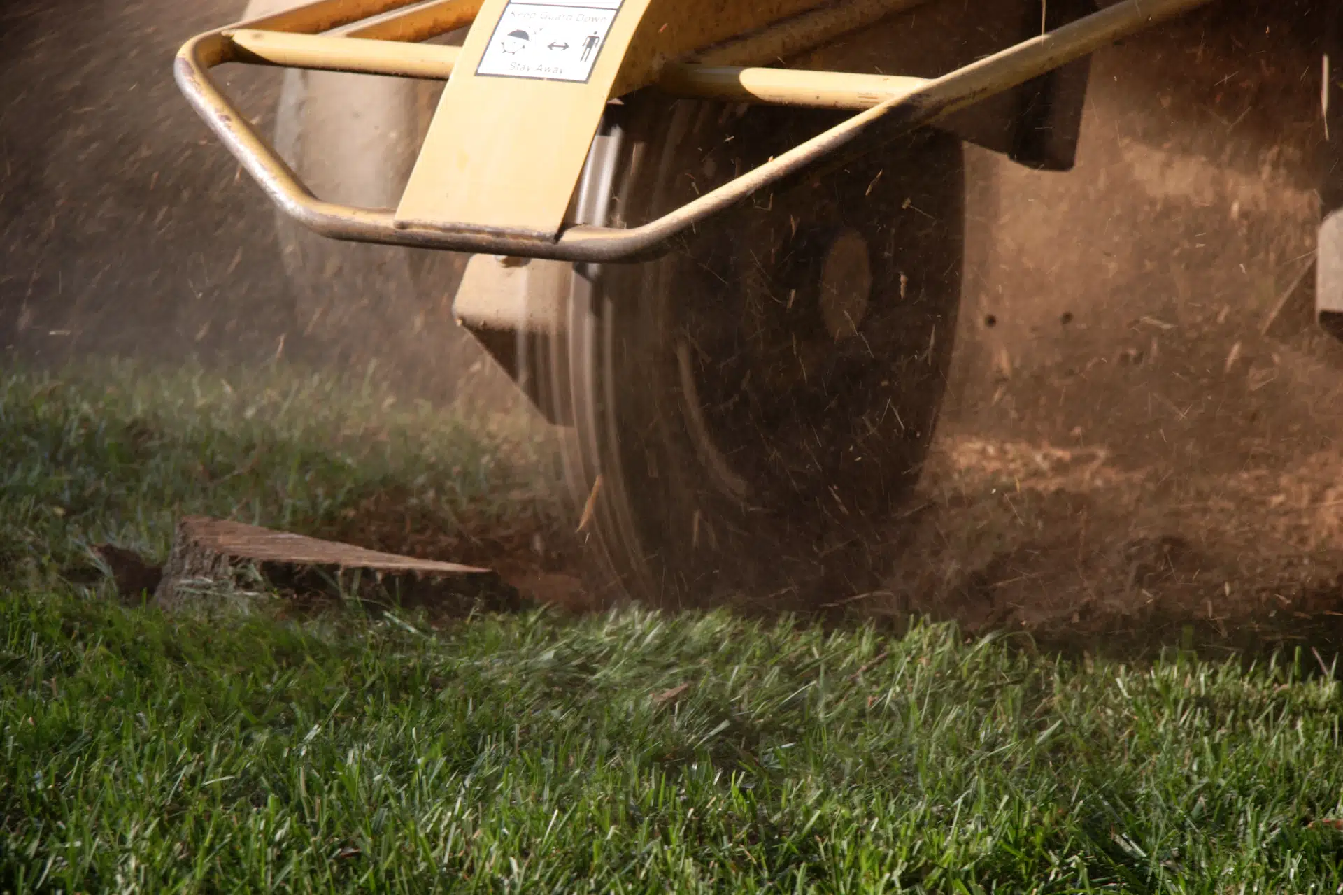 Stump grinding service after tree removal in Buncombe County