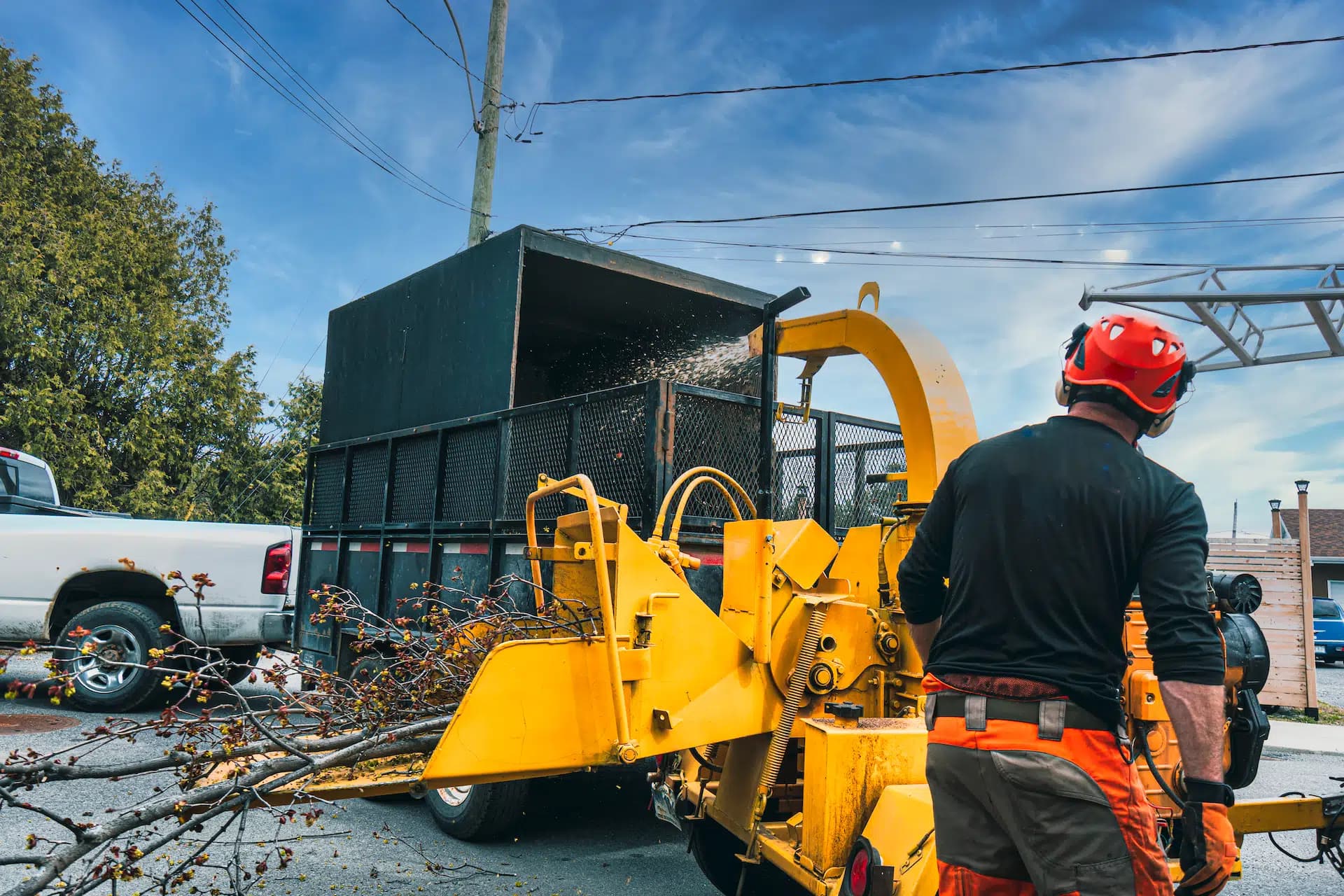 Chipping and hauling debris after full tree removal